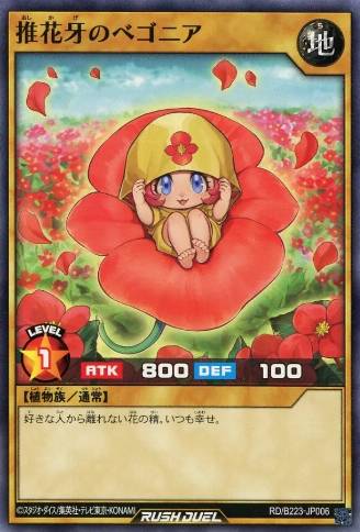 Begonia the Supportive Shadow Flower